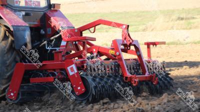 Metal-Fach U-818