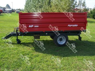 AP 300